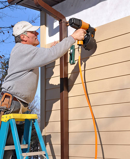 Best Steel Siding Installation  in Northdale, FL